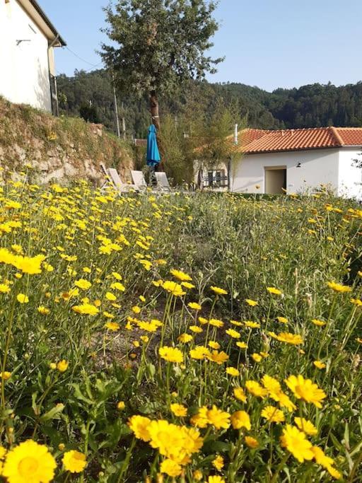 A Casa Com 2 Pereiras Bed & Breakfast Terras de Bouro Exterior photo