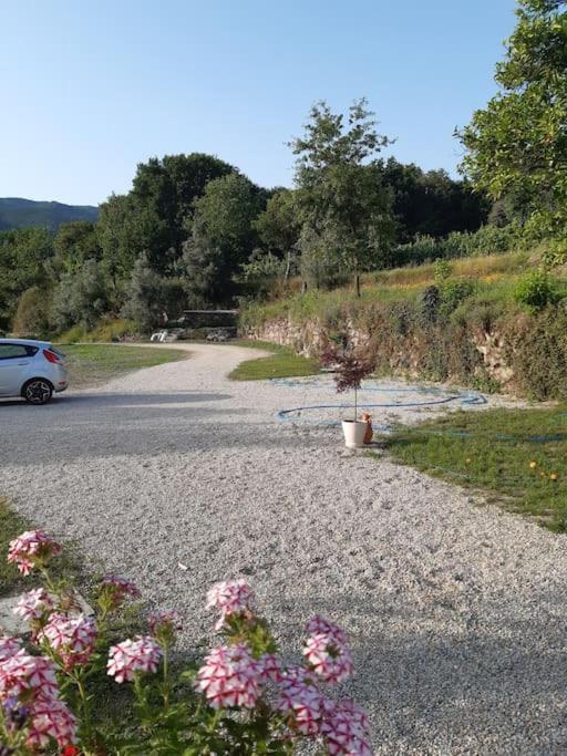 A Casa Com 2 Pereiras Bed & Breakfast Terras de Bouro Exterior photo