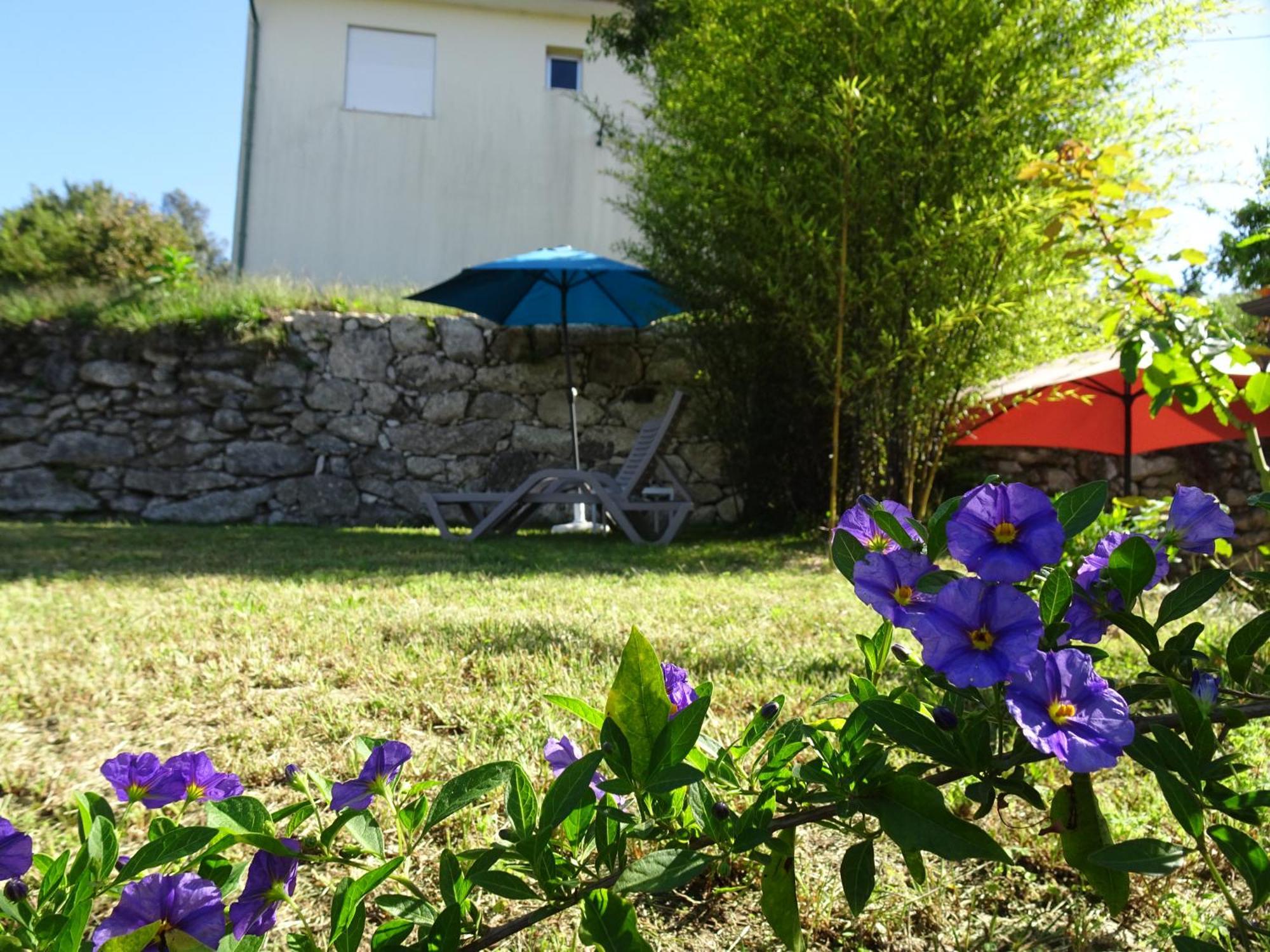 A Casa Com 2 Pereiras Bed & Breakfast Terras de Bouro Exterior photo